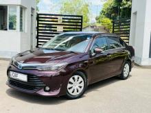 Toyota Axio 2015 Car
