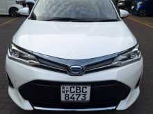 Toyota Axio 2018 Car