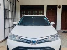 Toyota Axio 2018 Car