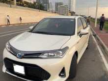 Toyota Axio 2019 Car