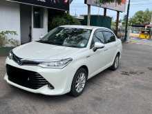 Toyota Axio 2015 Car