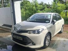 Toyota Axio 2015 Car