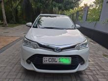 Toyota Axio 2018 Car