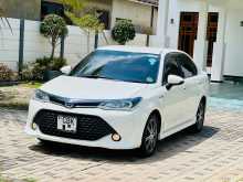 Toyota Axio 2017 Car