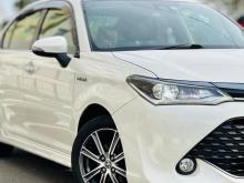 Toyota Axio 2017 Car
