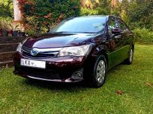 Toyota AXIO 2013 Car