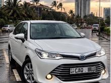Toyota Axio 2016 Car