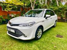 Toyota Axio 2015 Car