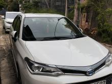 Toyota Axio 2017 Car