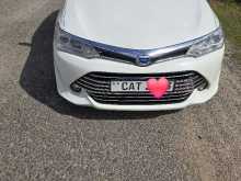 Toyota Axio 2016 Car