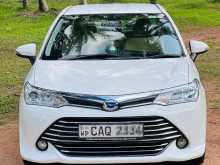 Toyota Axio 2015 Car