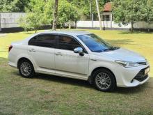 Toyota Axio 2015 Car