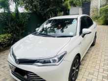Toyota Axio 165 2015 Car