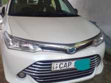 Toyota Axio 2015 Car
