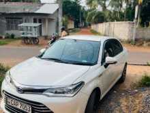 Toyota Axio 2015 Car