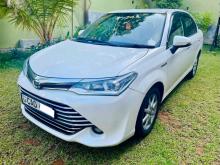 Toyota Axio 2015 Car