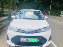 Toyota Axio 2015 Car