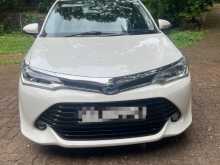 Toyota Axio 2015 Car
