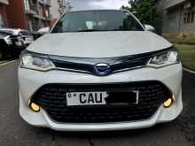 Toyota Axio 2017 Car