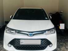 Toyota Axio 2017 Car