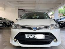 Toyota Axio 2015 Car