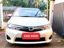 Toyota Axio 2014 Car