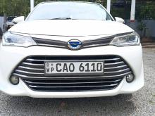 Toyota Axio G Grade 2015 Car