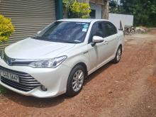 Toyota Axio 2015 Car