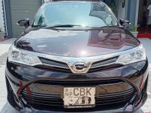 Toyota Axio 2019 Car