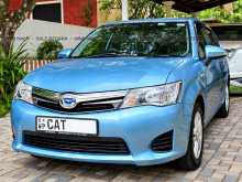 Toyota Axio 2014 Car