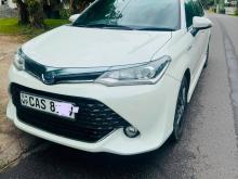 Toyota AXIO WXB 2016 Car