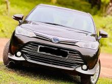 Toyota Axio 2015 Car