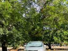 Toyota Axio 2010 Car