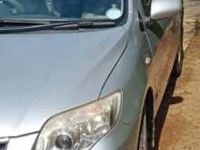 Toyota Axio 2013 Car