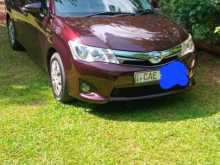 Toyota Axio 2014 Car