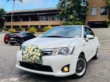 Toyota Axio 2014 Car