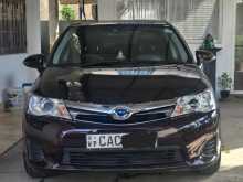 Toyota Axio 2014 Car