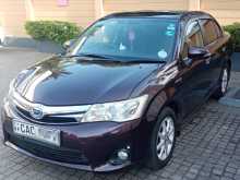 Toyota Axio 2014 Car