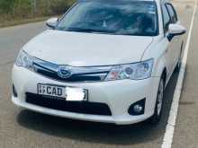 Toyota Axio 2014 Car
