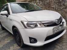 Toyota Axio 2014 Car