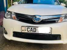 Toyota Axio 2014 Car