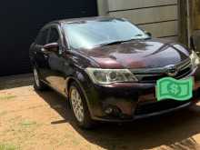 Toyota Axio 2014 Car