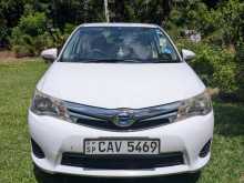 Toyota Axio 2014 Car