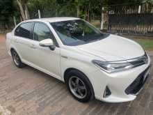 Toyota Axio 2015 Car