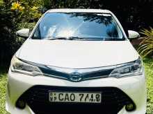 Toyota Axio 2015 Car