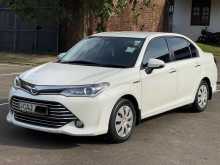 Toyota Axio 2015 Car