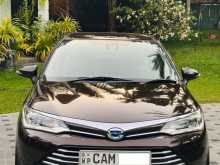 Toyota Axio 2015 Car