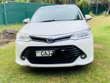 Toyota Axio 2015 Car