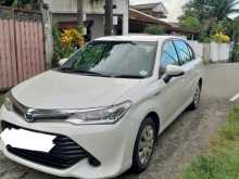 Toyota Axio 2015 Car
