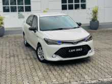 Toyota Axio 2015 Car